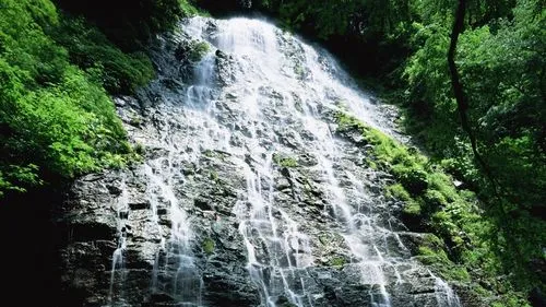 高效高端全自动